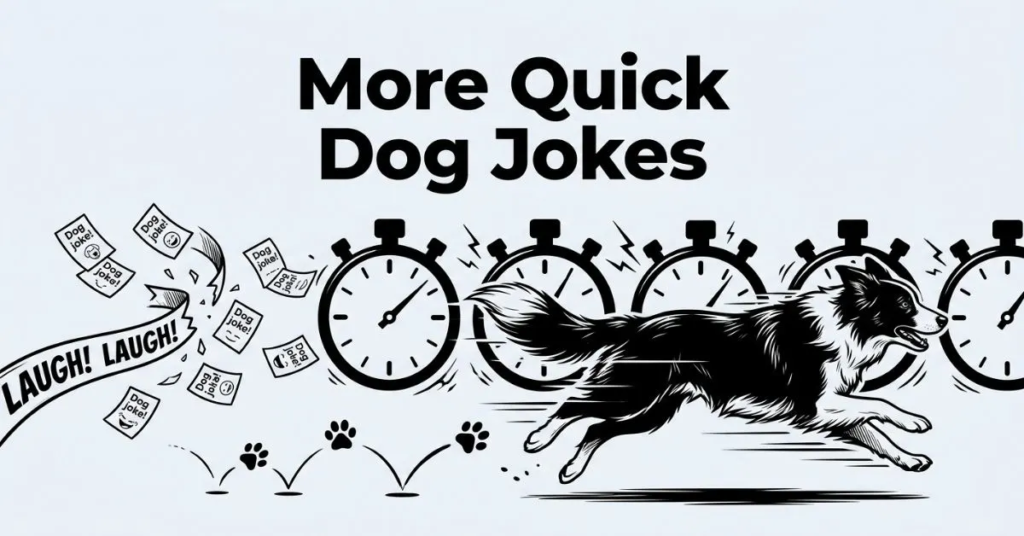 High-energy line art illustration for "More Quick Dog Jokes" on a solid light gray background. Displays a dog sprinting fast alongside a row of oversized stopwatches, flying joke cards, bouncing paw prints, and a broken finish-line ribbon labeled "LAUGH! LAUGH!".